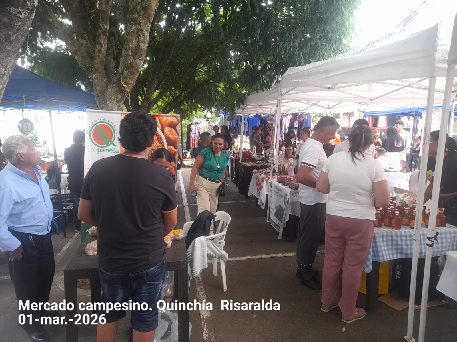 Mercados Campesinos - Evidencia 1